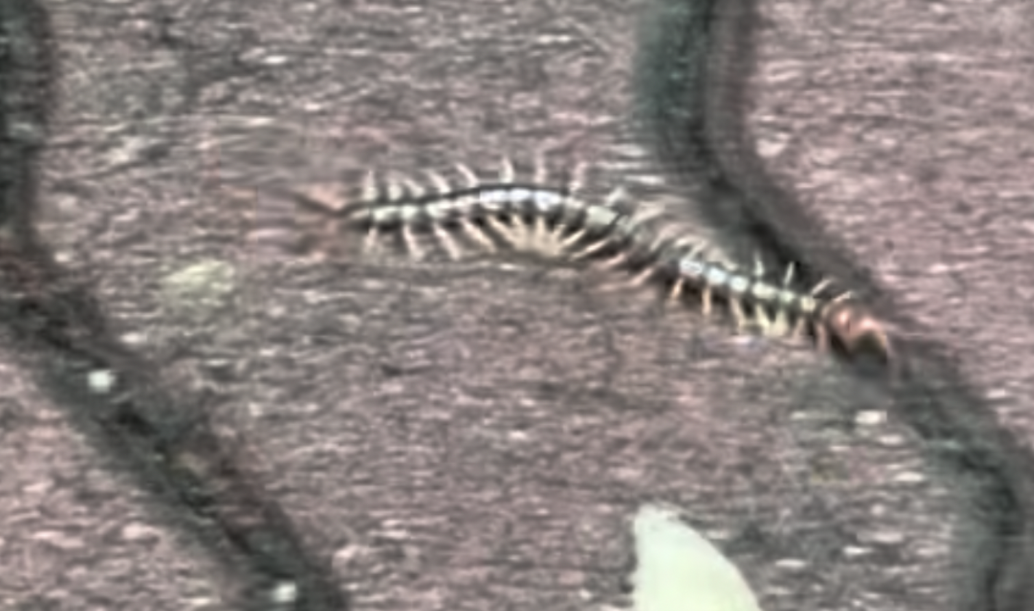 Pasted image 20251030120245.png